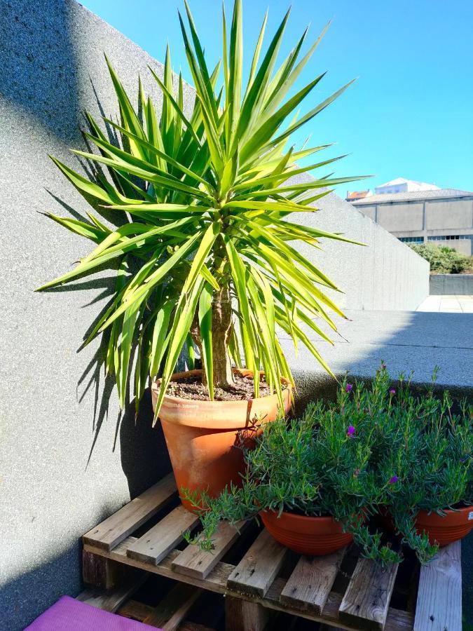 Porto Santa Catarina - Apartment With Terrace 외부 사진